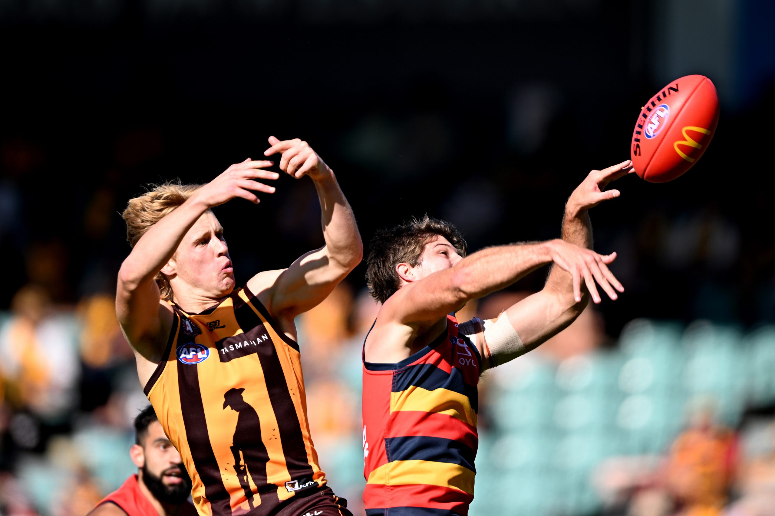 Jordon Butts of the Crows and Cam Mackenzie of the Hawks compete for the ballduring the round six AFL match between Hawthorn Hawks and Adelaide Crows at University of Tasmania Stadium, on April 23, 2023, in Launceston, Australia. (Photo by Steve Bell/Getty Images)
