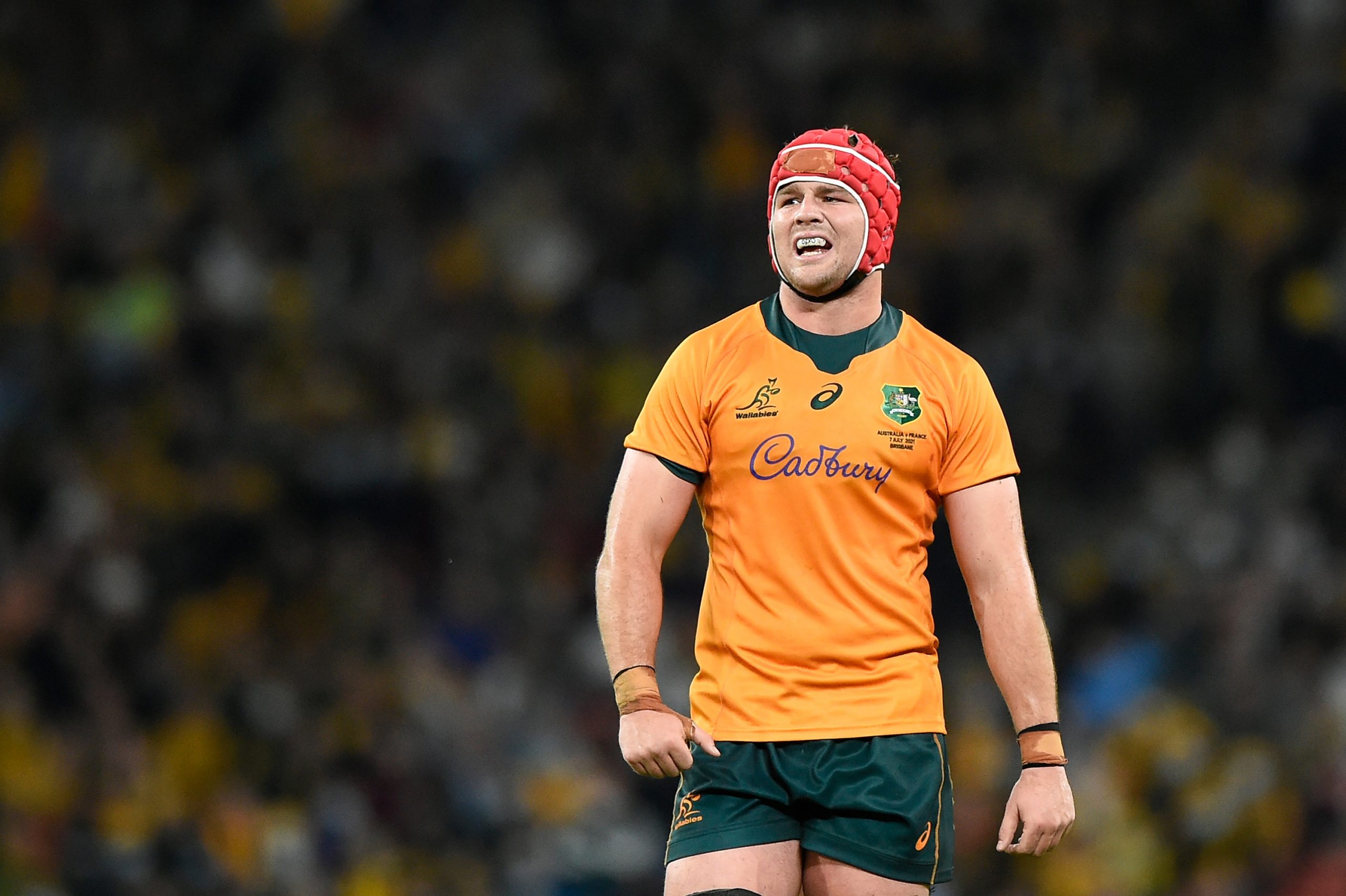 Harry Wilson of the Wallabies at Suncorp Stadium.