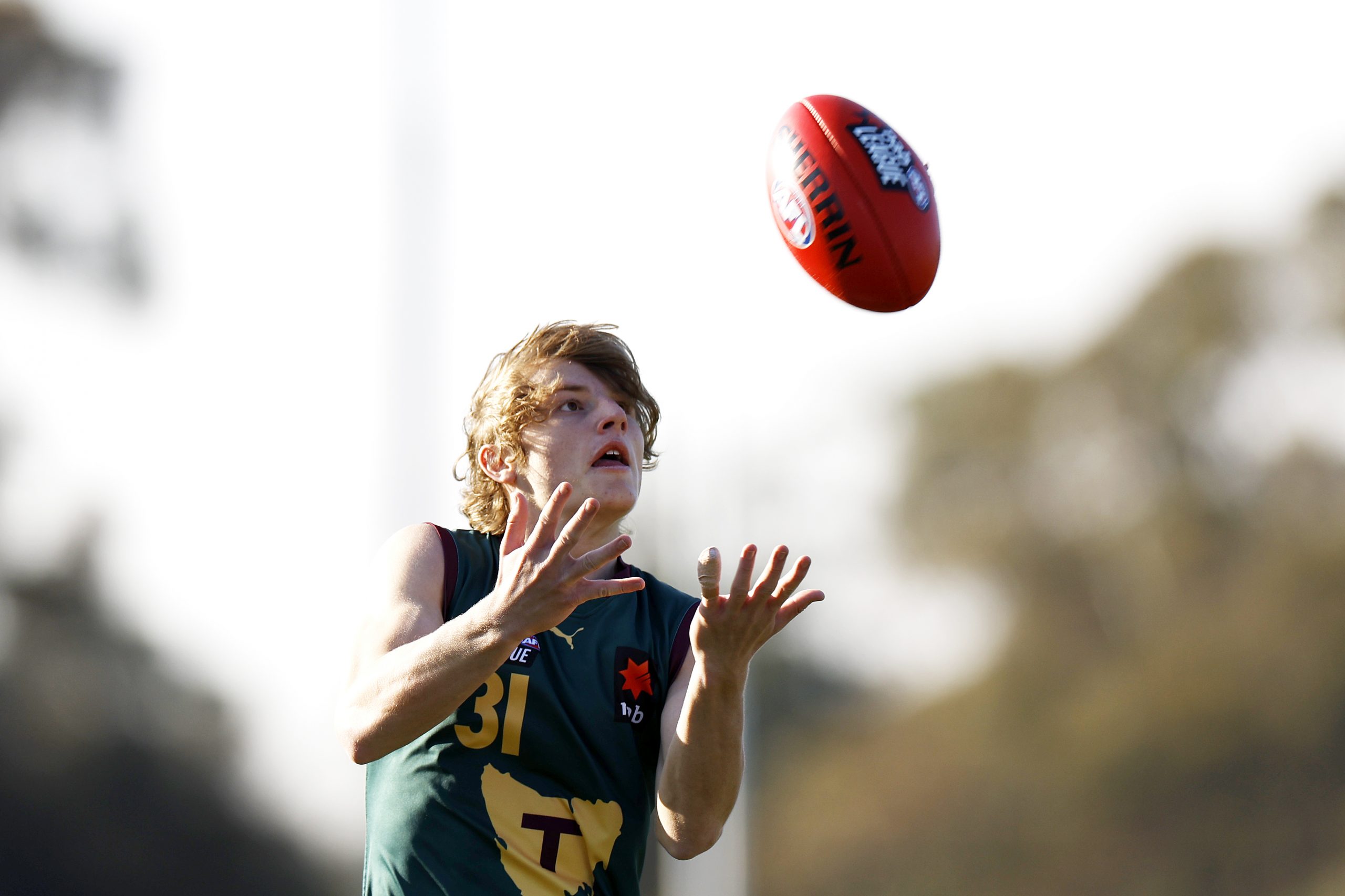 A major push has come from the Tasmanian government for the state to secure a stand-alone AFL team.