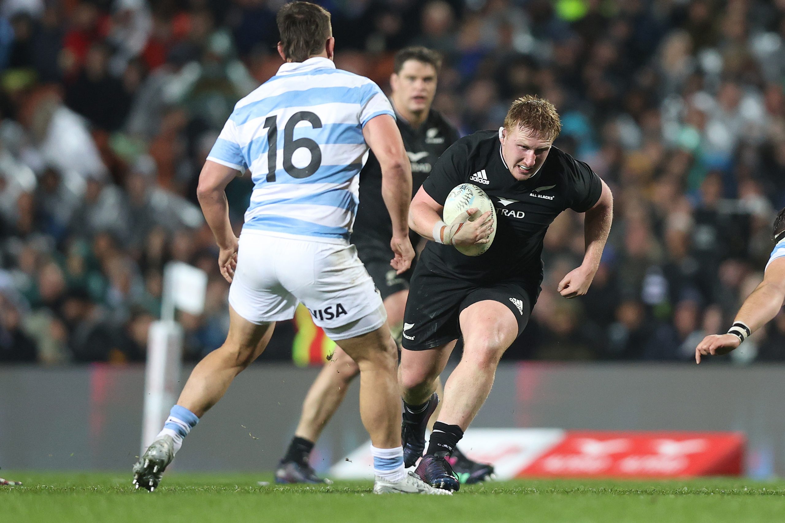 Fletcher Newell of the All Blacks  during the Rugby Championship.