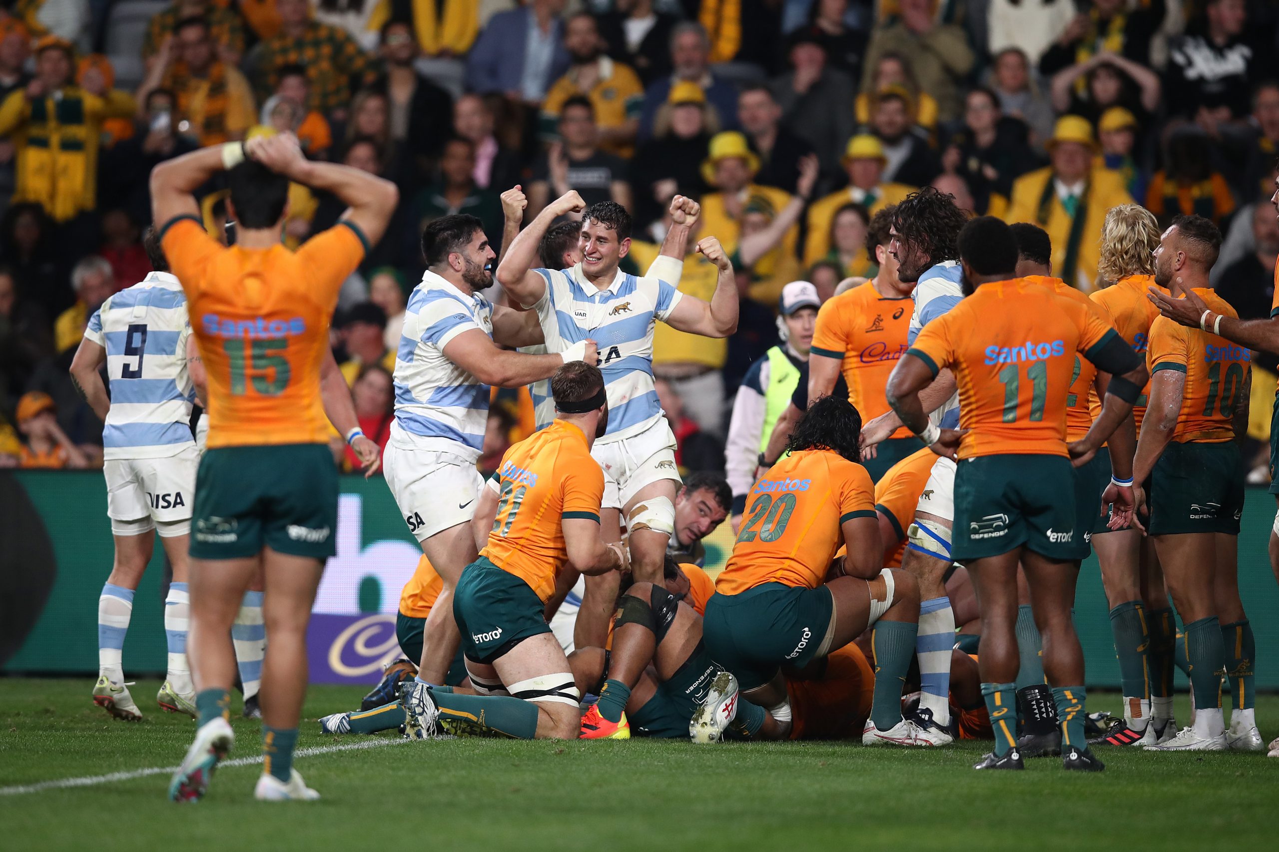 The Pumas celebrate a try by Juan Martin Gonzalez during the Rugby Championship match between Australia and Argentina.