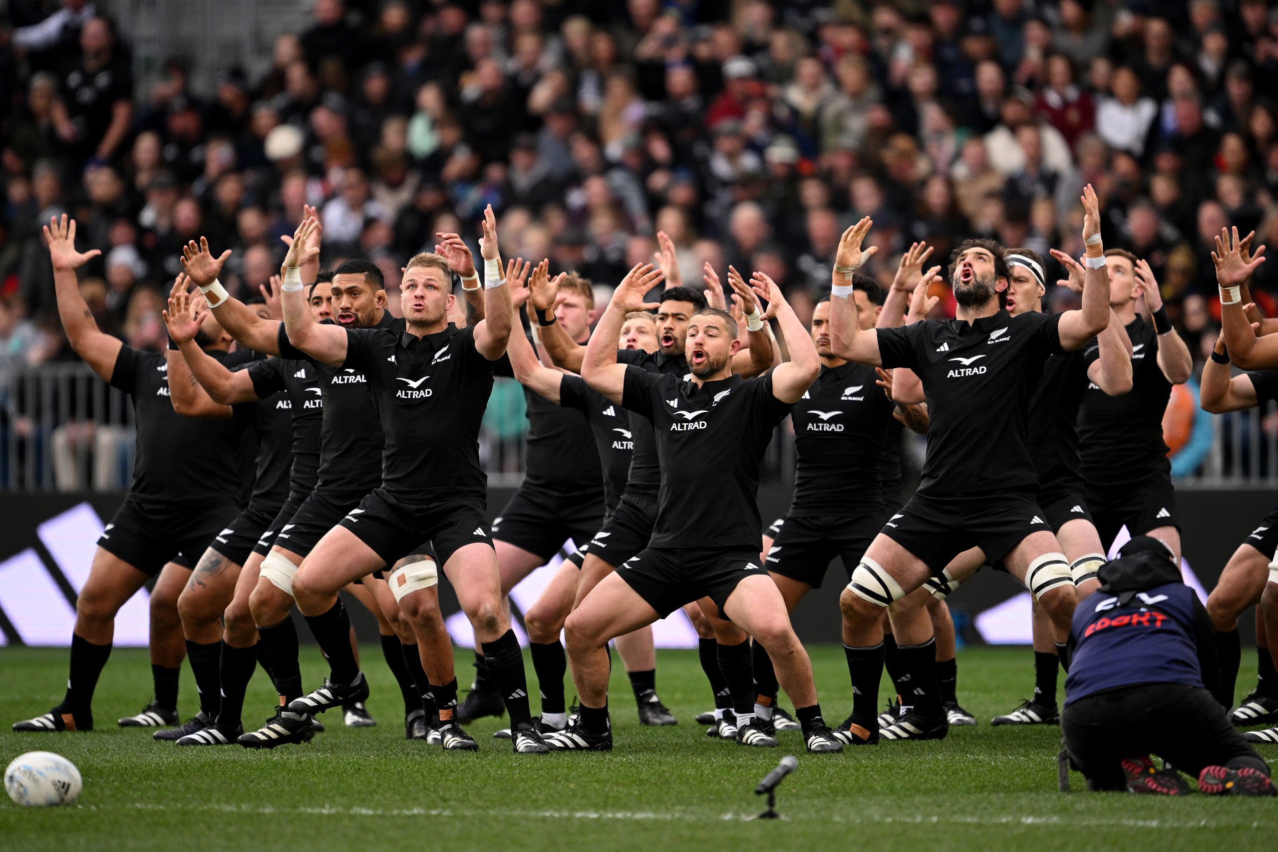 New Zealand perform a haka during The Rugby Championship & Bledisloe Cup match between the All Blacks and Wallabies at Forsyth Barr Stadium.