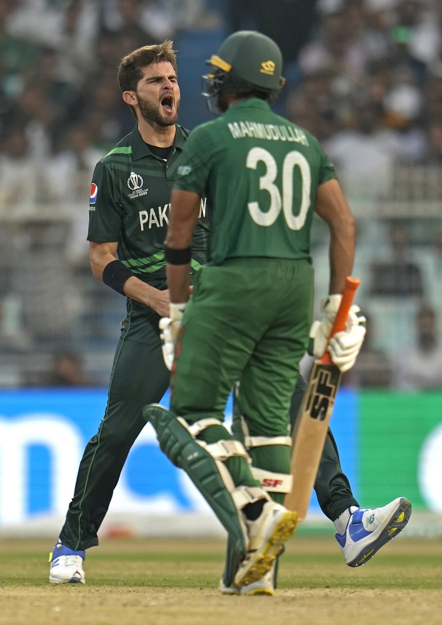 Pakistan's Shaheen Afridi celebrates the dismissal of Bangladesh's Mahmudullah Riyad.