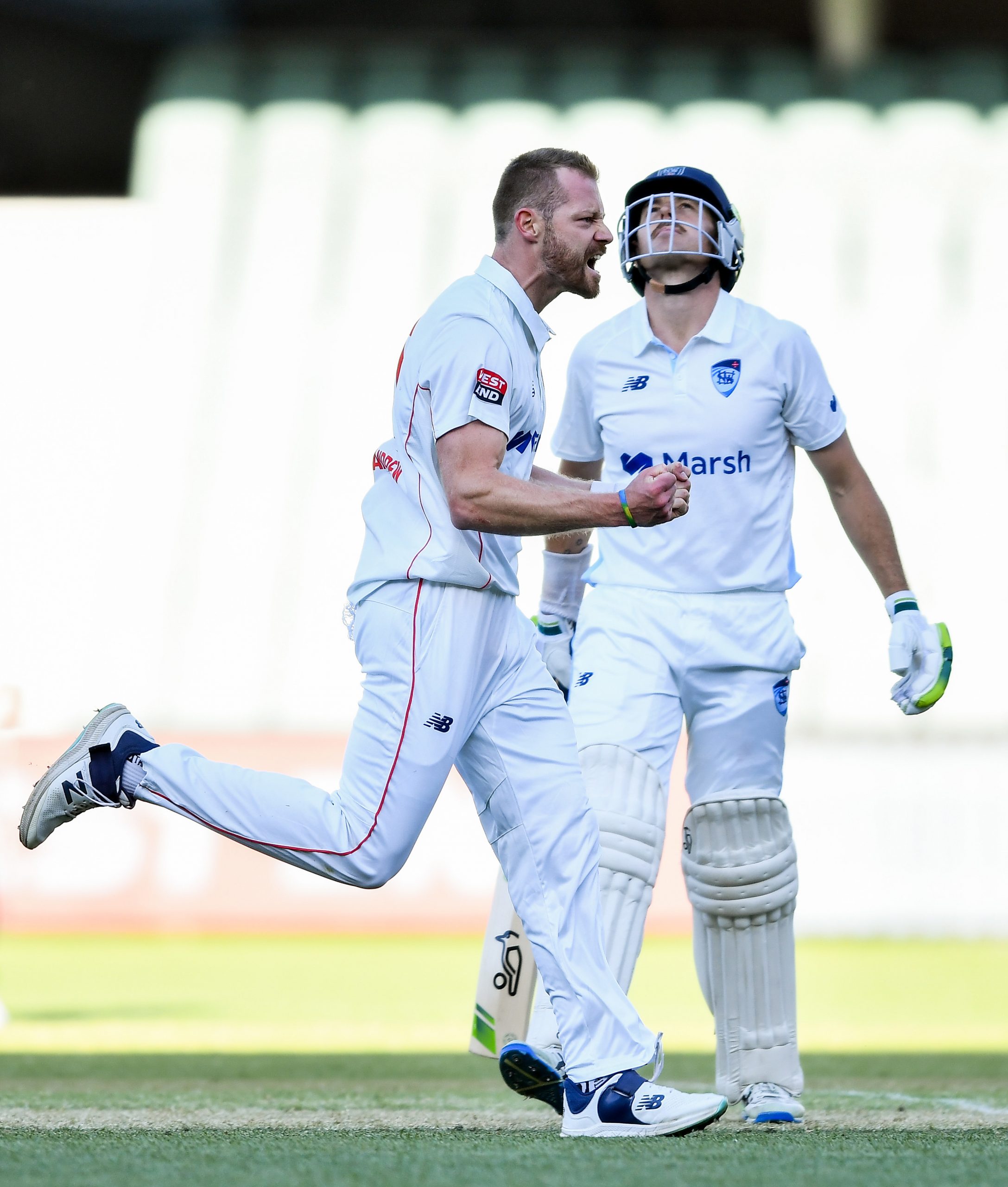 South Australia's Nathan McAndrew celebrates a wicket in the Sheffield Shield.