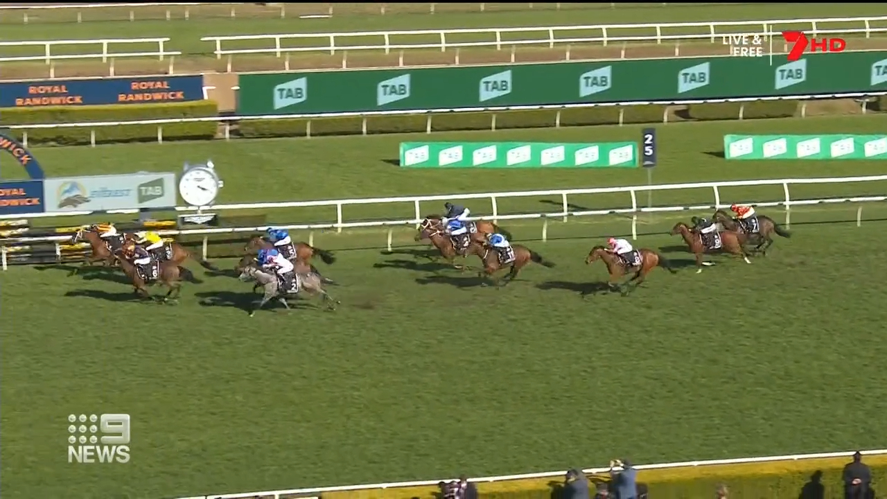 Nature Strip takes out $15 million Everest