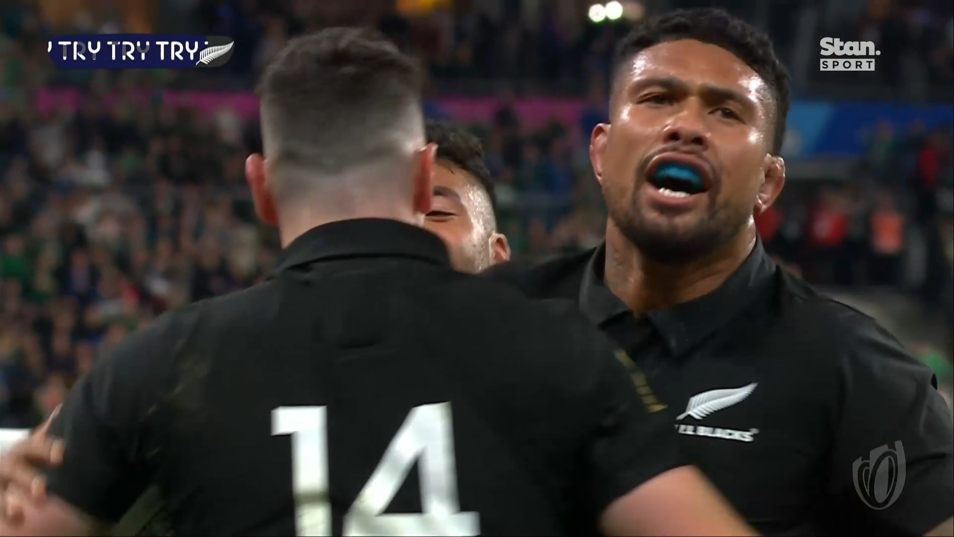 Ireland vs New Zealand RWC every try