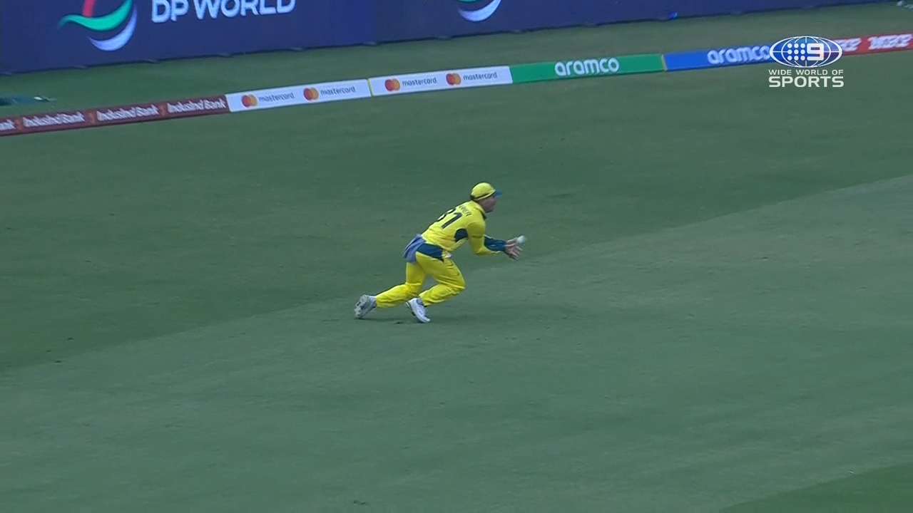 Brilliant Warner catch breaks partnership