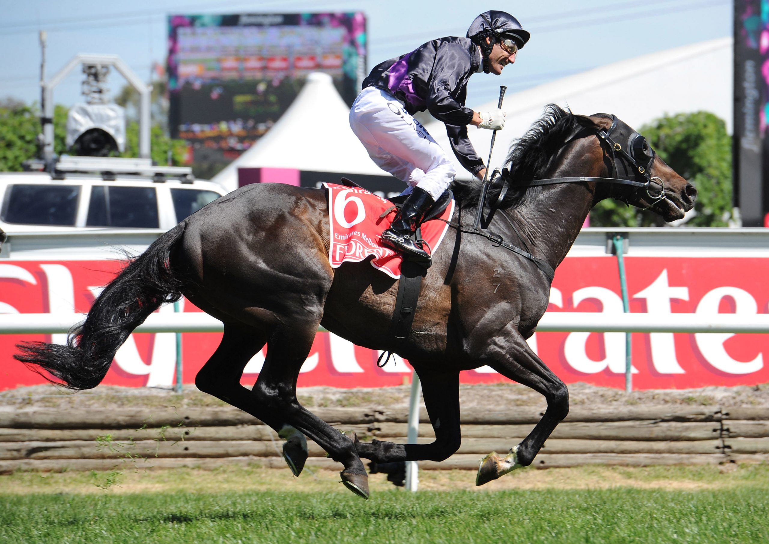 Fiorente in action during the 2013 Melbourne Cup while being ridden by Damien Oliver
