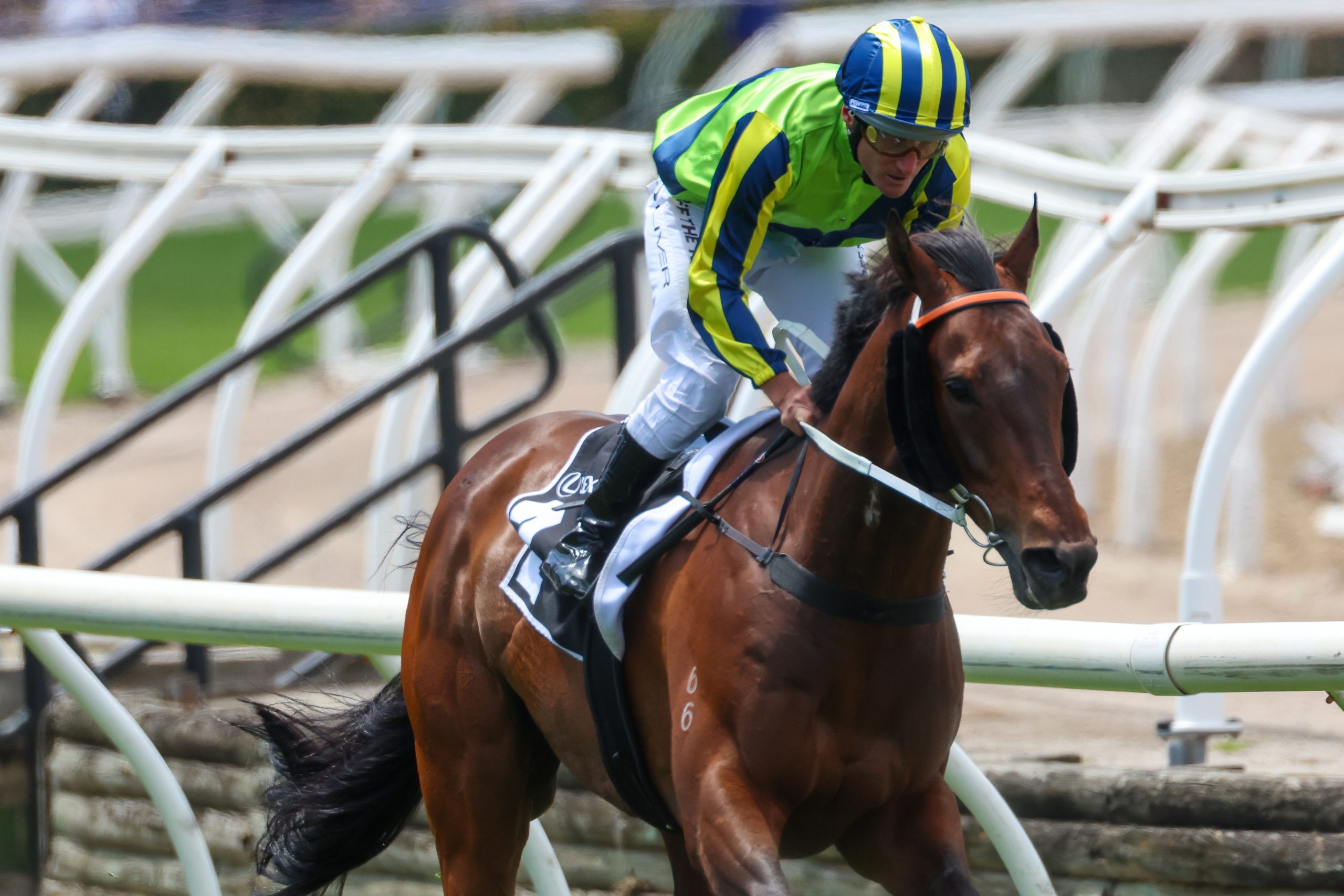 MELBOURNE, AUSTRALIA - NOVEMBER 04: : Damien Oliver riding Kalapour wins Race 2, the Lexus Archer Stakes during Derby Day at Flemington Racecourse on November 04, 2023 in Melbourne, Australia. (Photo by Asanka Ratnayake/Getty Images)