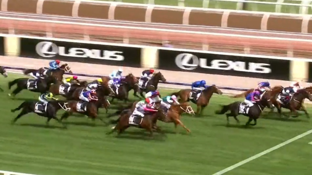 Vow and Declare wins Melbourne Cup