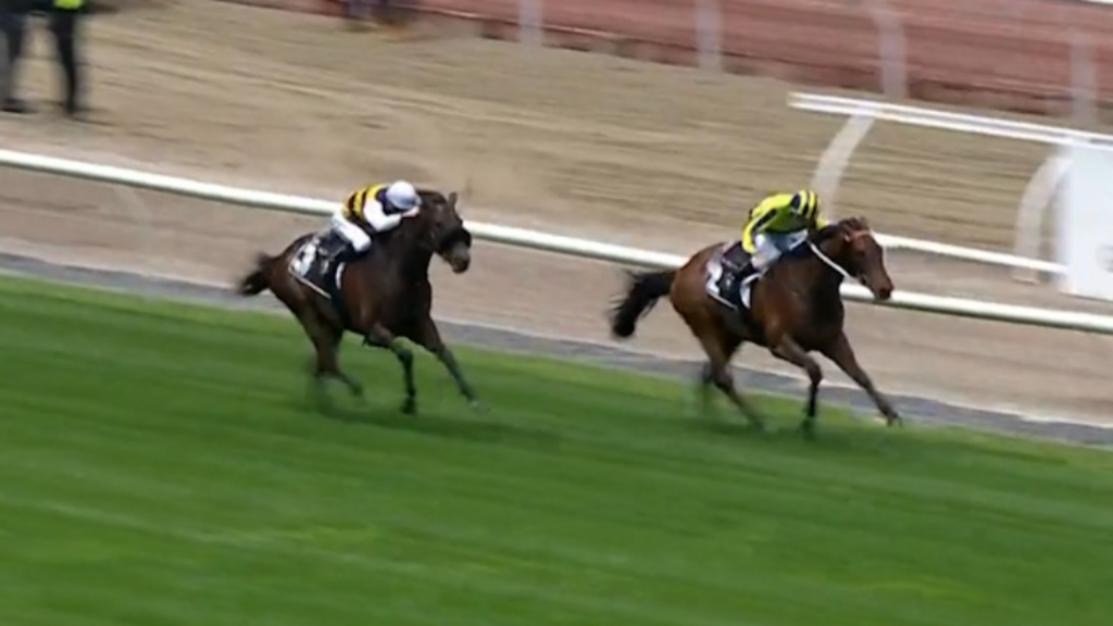 Oliver takes out Lexus Archer Stakes