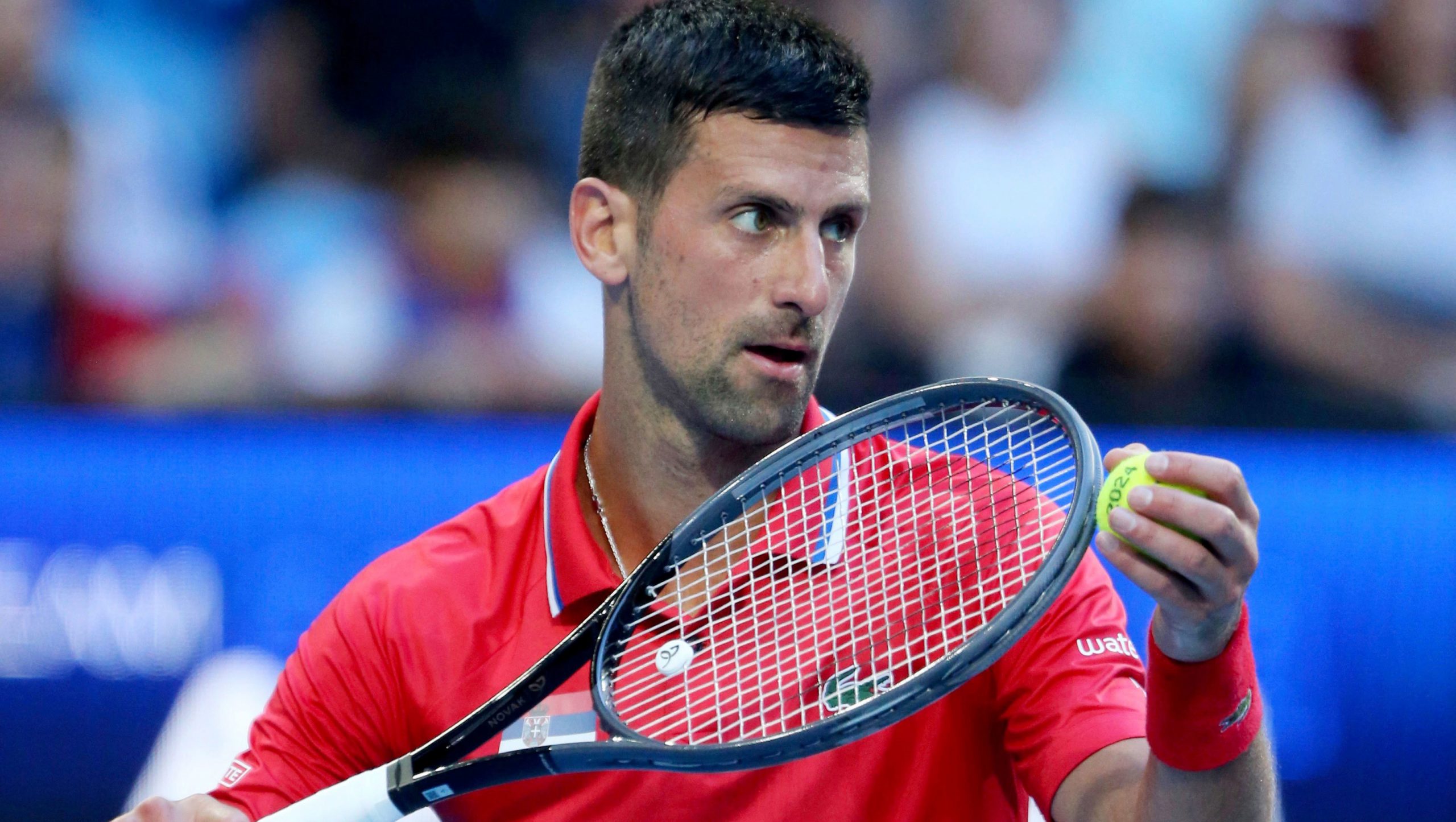 Novak Djokovic of Serbia prepares to serve to Alex De Minaur of Australia during their United Cup quarter final clash.