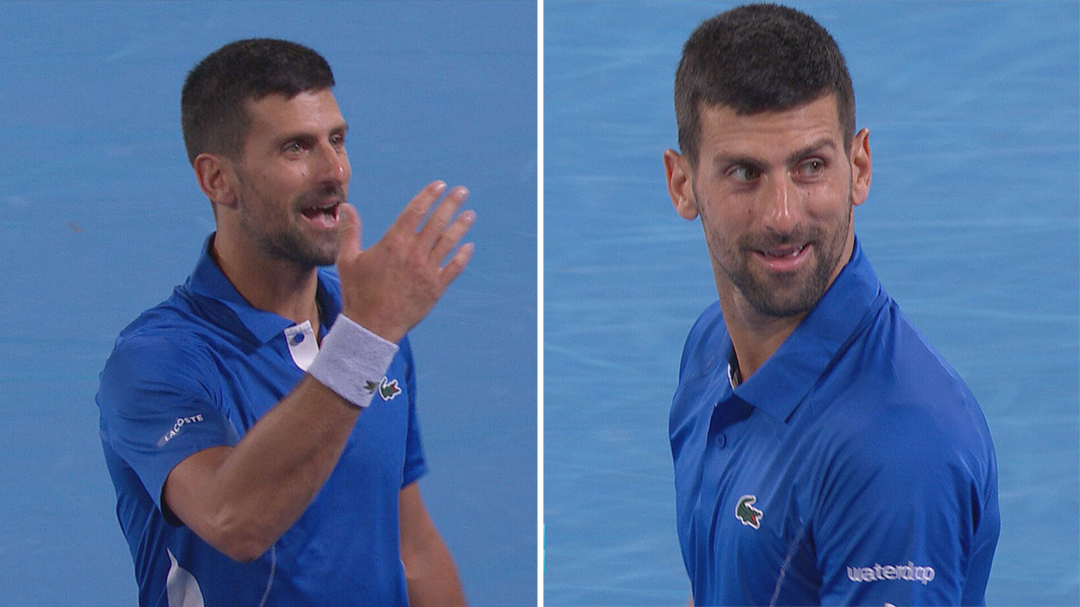Djokovic goes berserk at crowd member