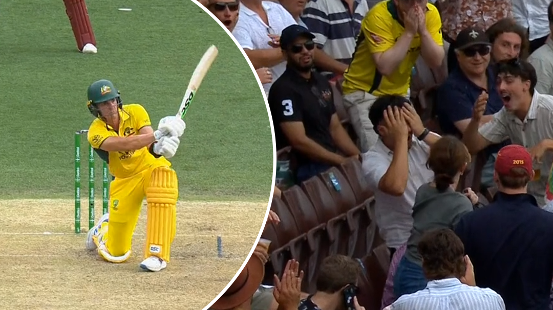 Spectator cops Abbott six to the head