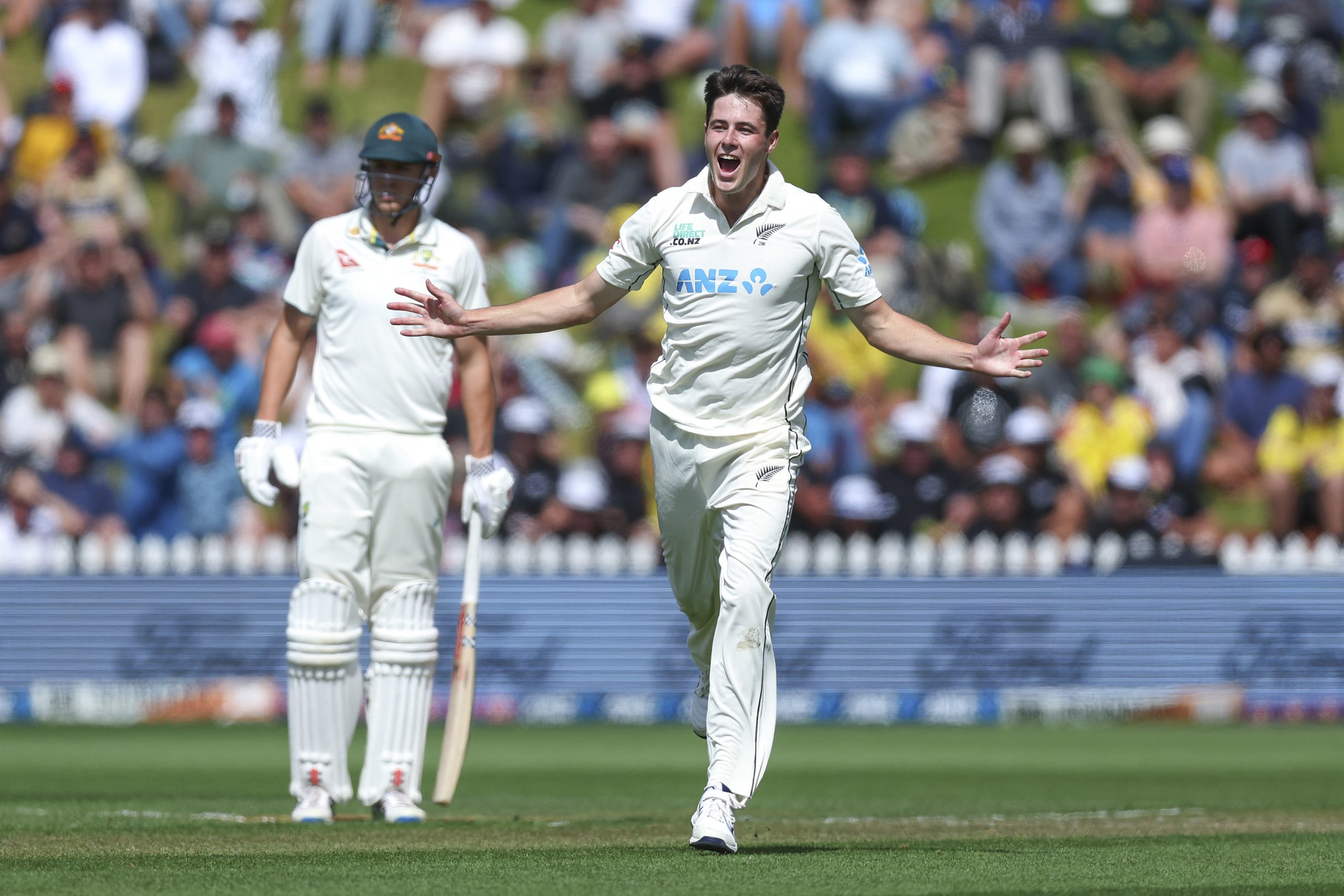 William O'Rourke of New Zealand in the first Test against Australia in Wellington.