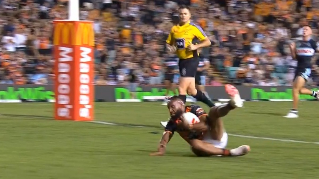 Olam try sends Tigers fans into raptures