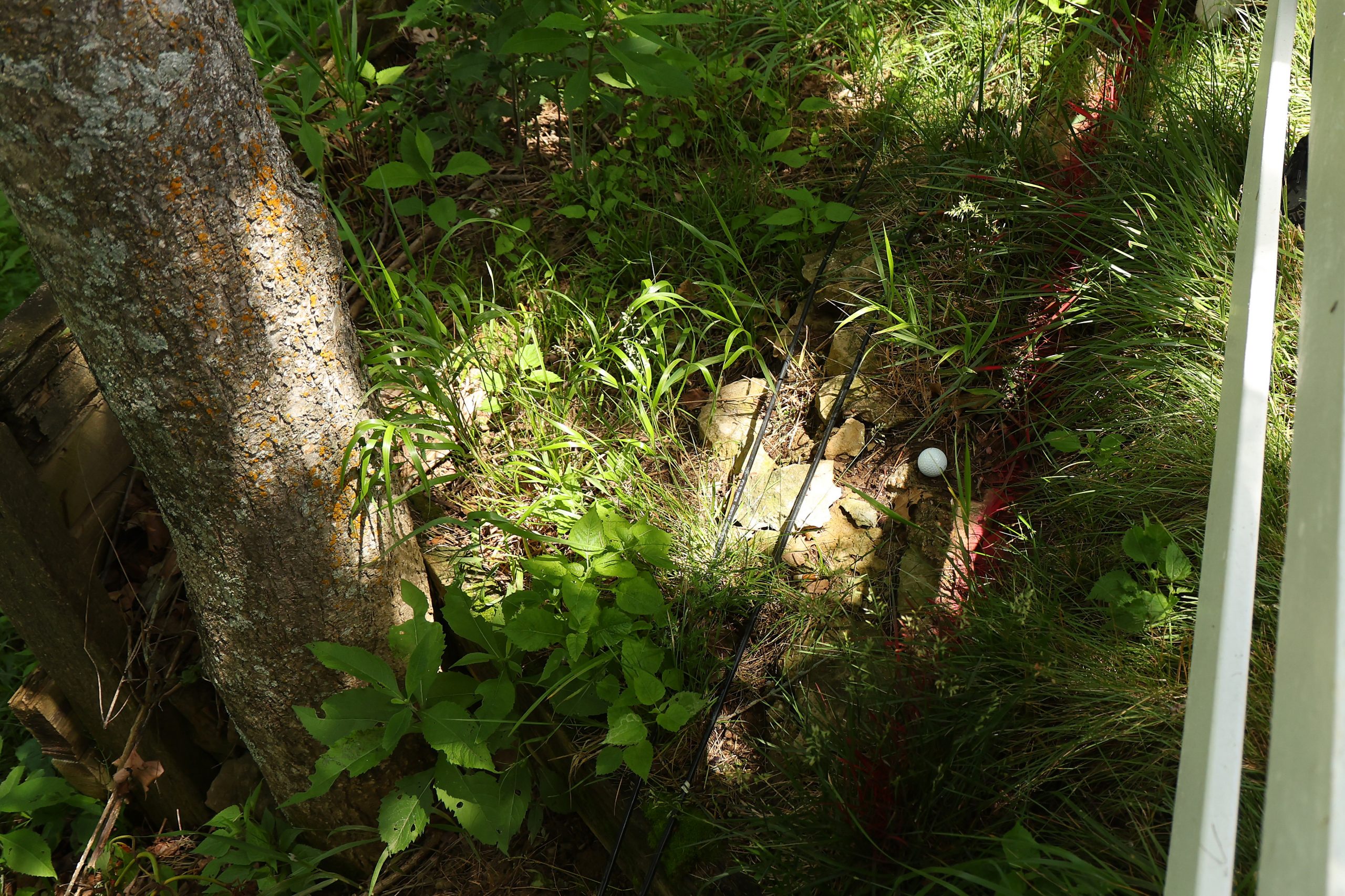 A detail of the ball of Scottie Scheffler of the United States on the fourth hole during the third round of the 2024 PGA Championship at Valhalla Golf Club on May 18, 2024 in Louisville, Kentucky. (Photo by Michael Reaves/Getty Images)