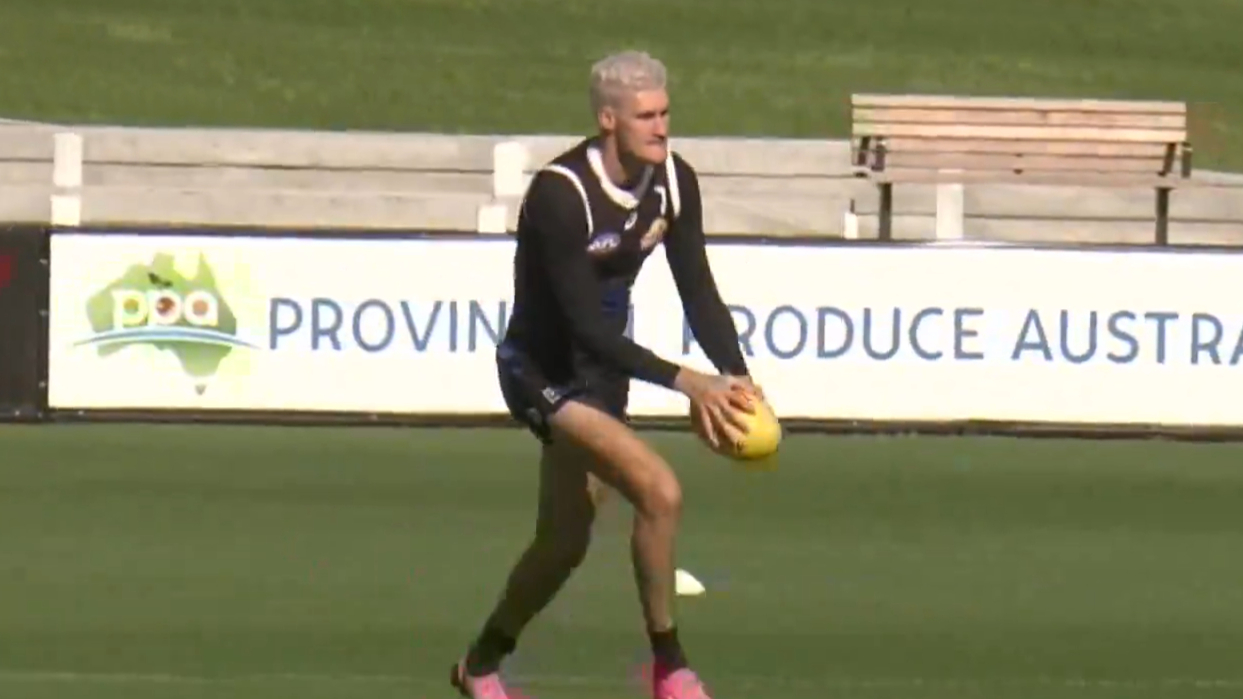 Luckless Dog requests trade