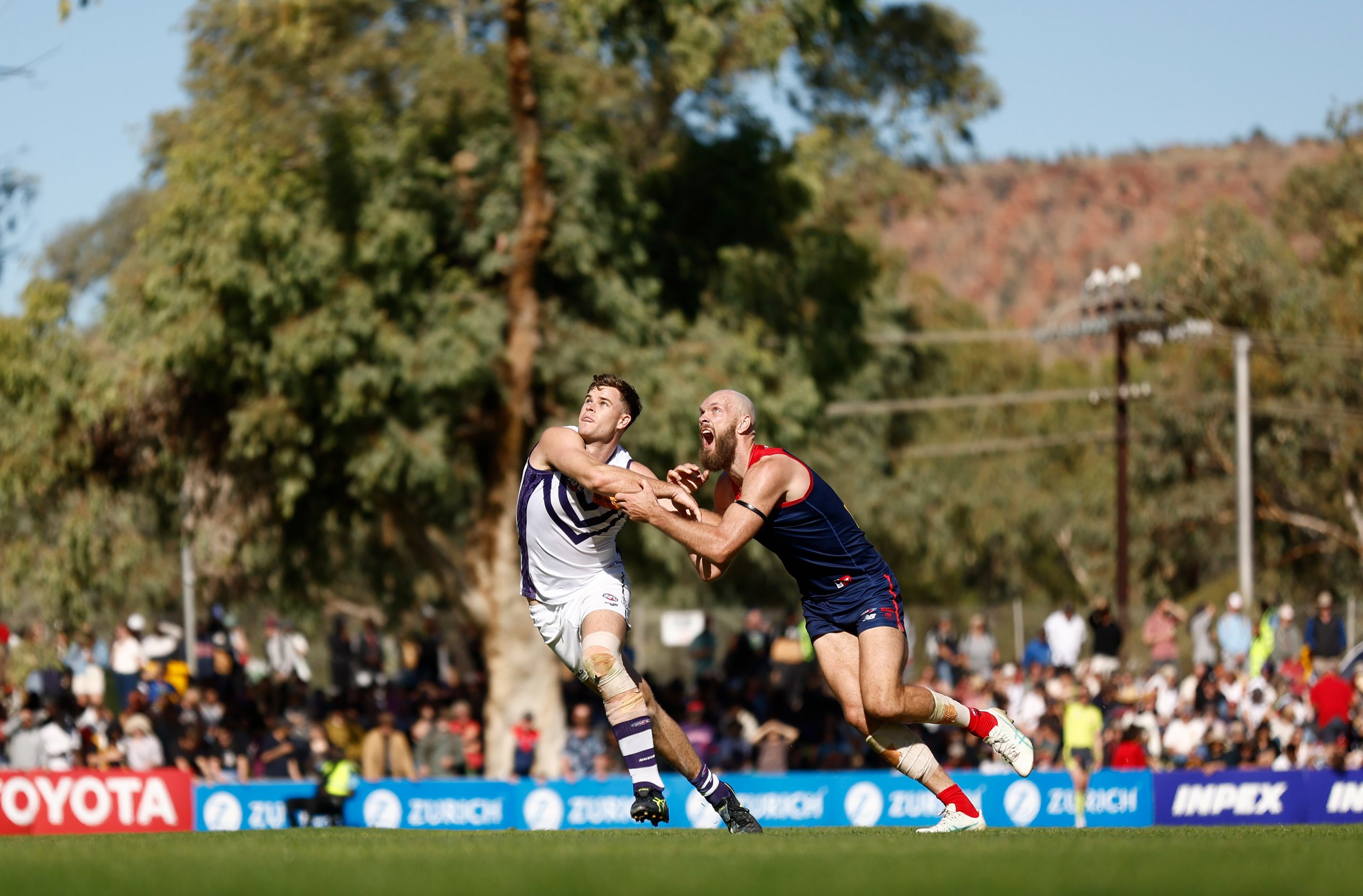 Sean Darcy was strong against Gawn.