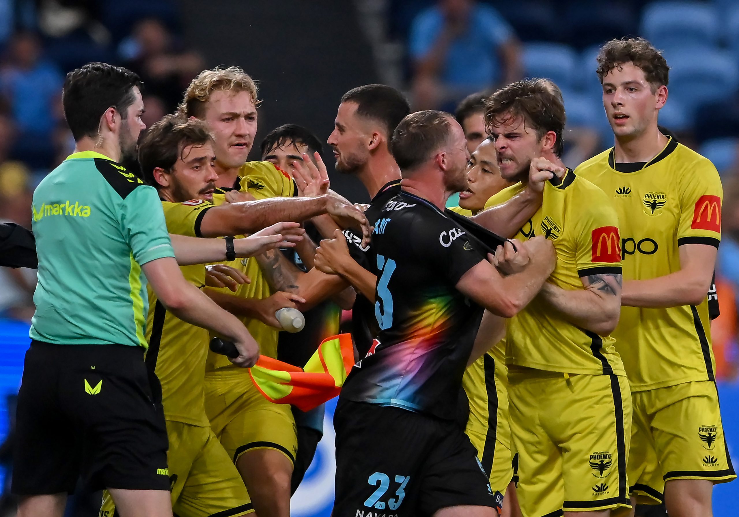 Rhyan Grant of Sydney FC and Alex Rufer of Wellington Phoenix get into a physical altercation during their round 23 A-League Men match.