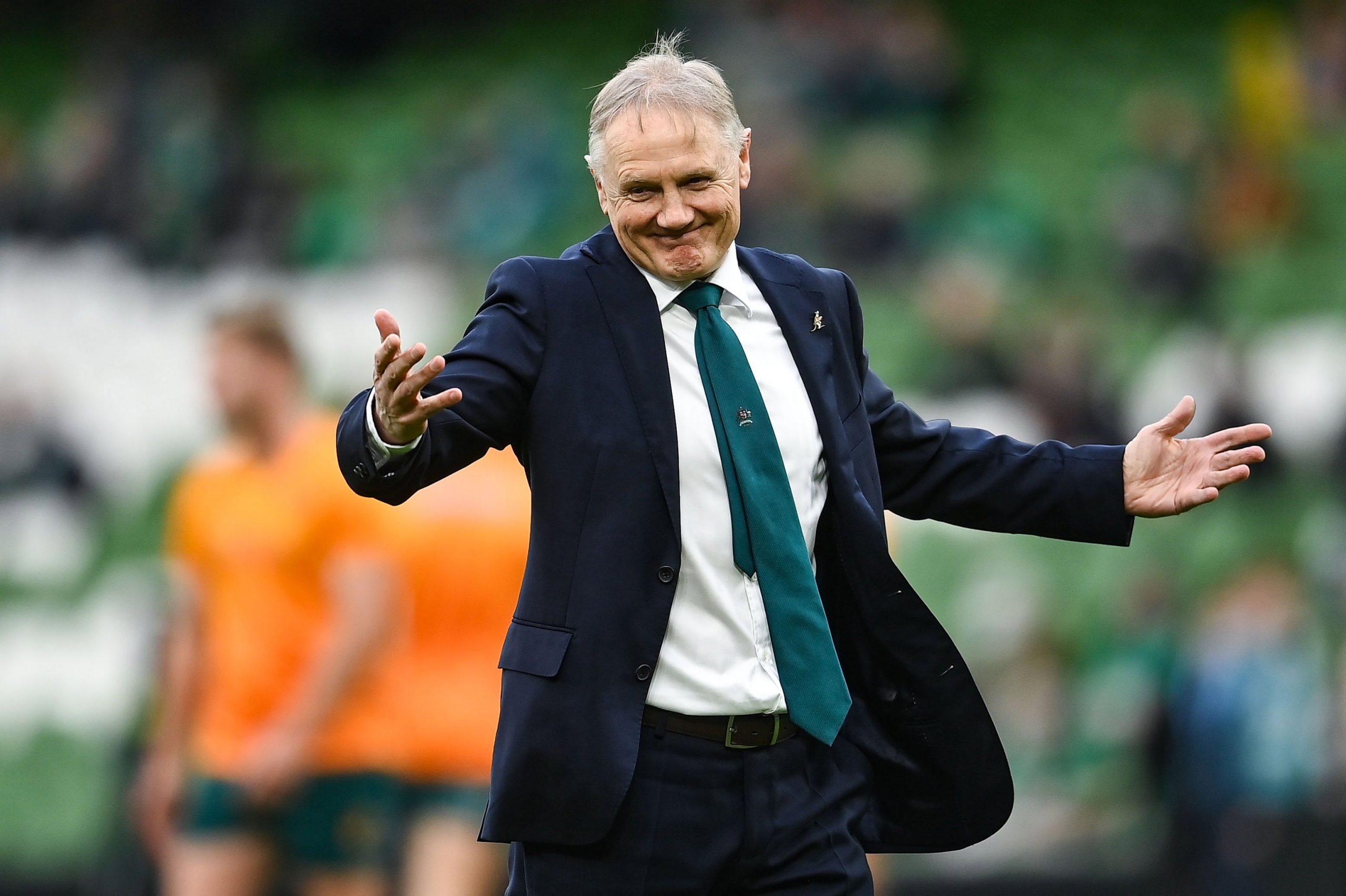 Australia coach Joe Schmidt before the Autumn Nations Series match.