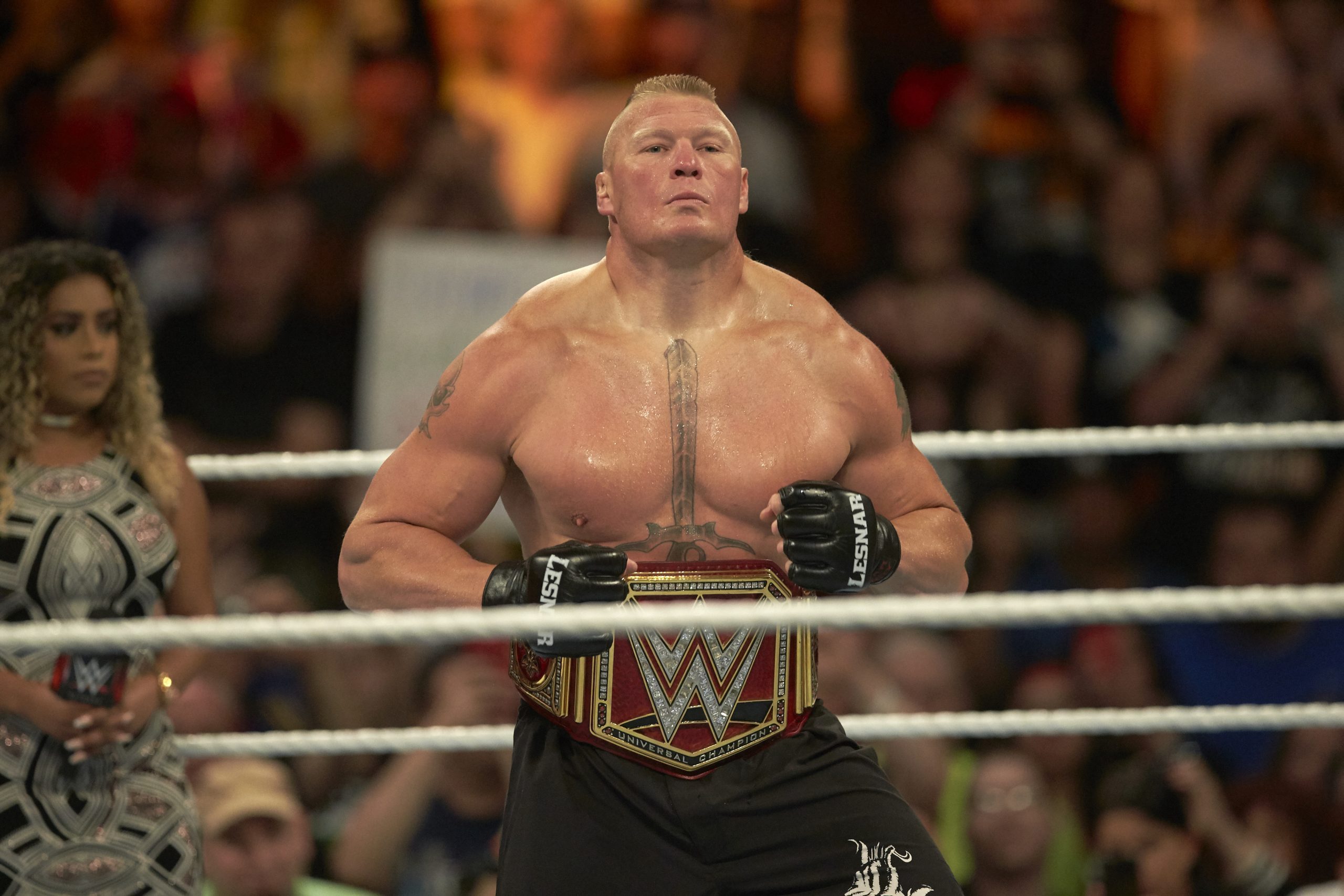 Brock Lesnar had a decorated WWE career. 