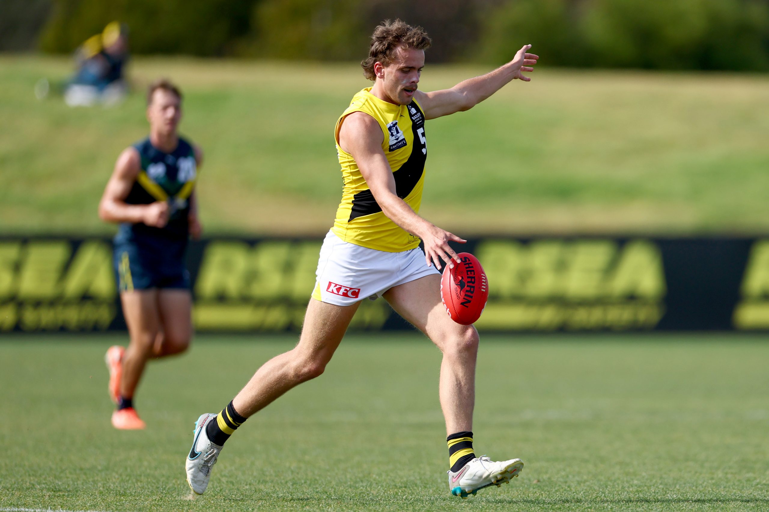 Tom McCarthy of the Tigers VFL side.