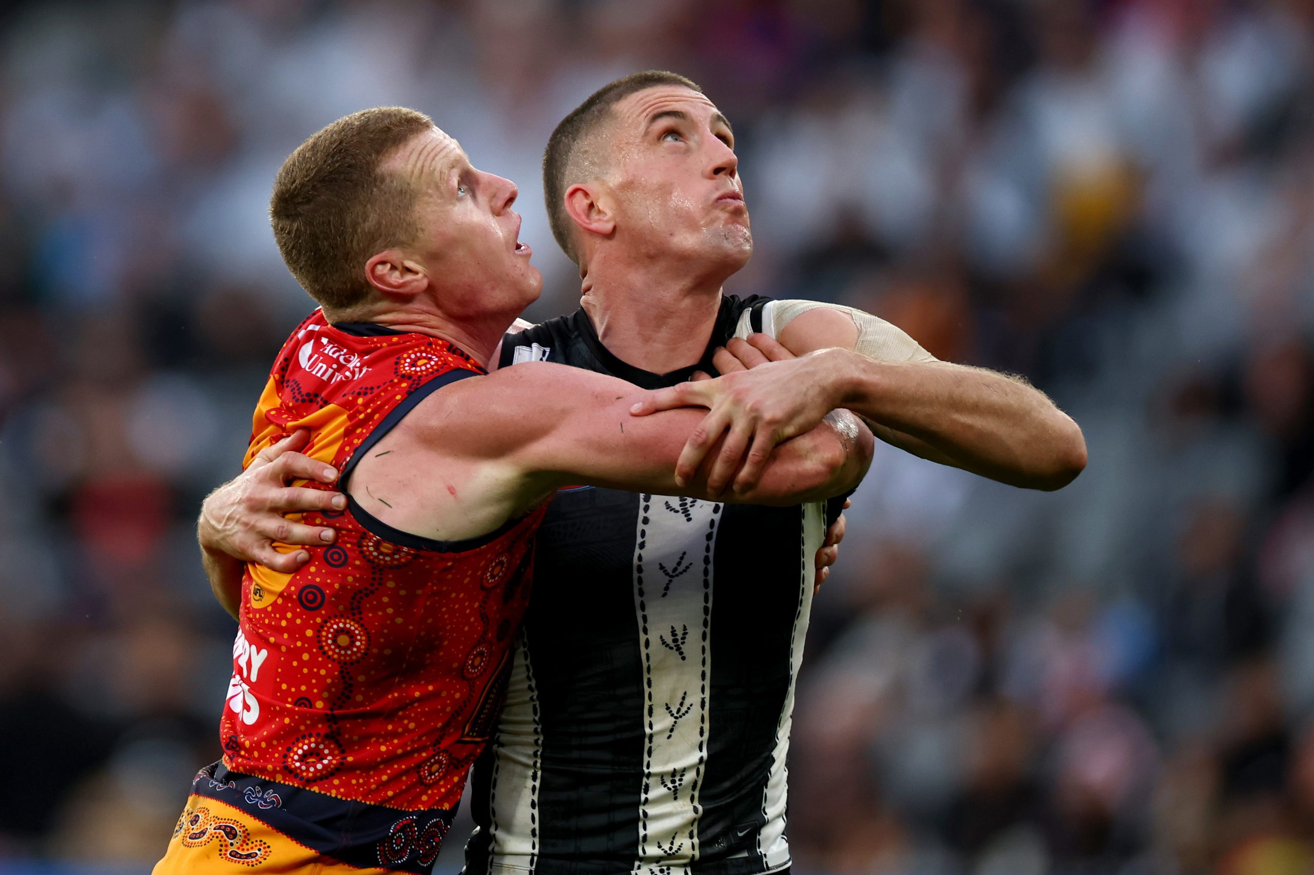 Darcy Cameron has been a star for the Pies.
