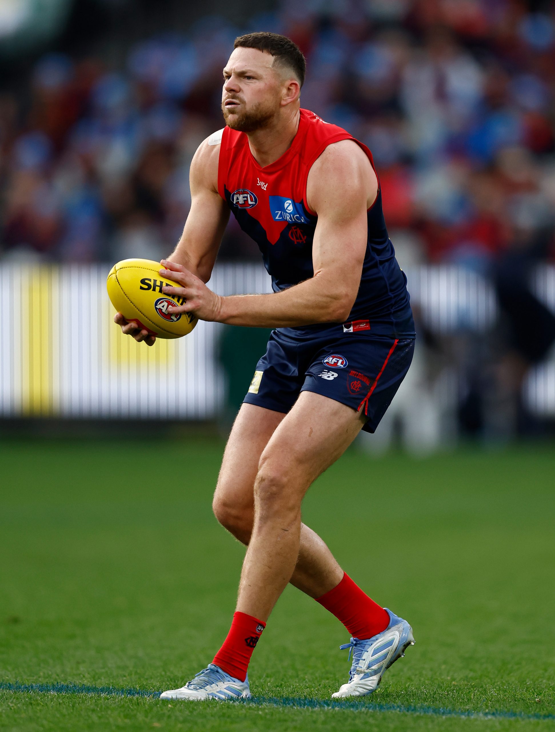 Steven May of the Demons.