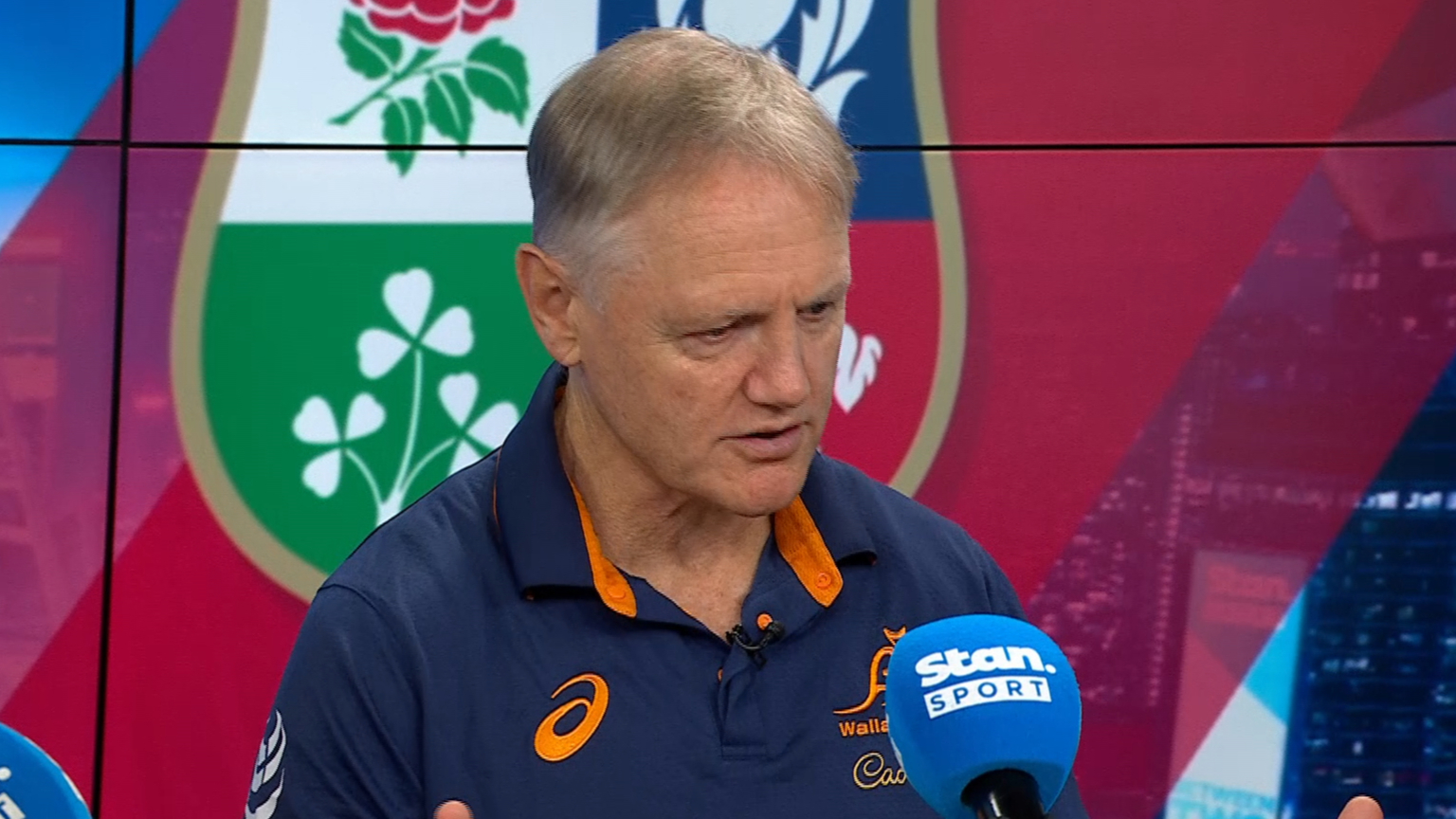 Schmidt gives verdict on Lions squad